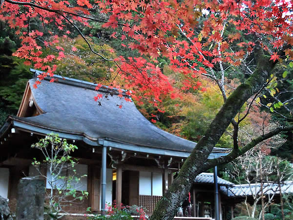 寂光院の紅葉