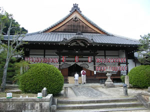 円山公園・枝垂桜