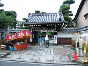 円山公園・枝垂桜