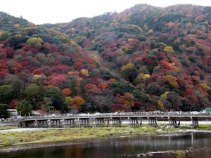 嵐山公園