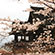 清水寺の桜12