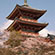 清水寺の桜19
