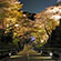 清水寺の桜3