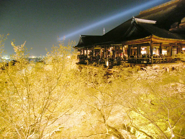 清水寺の桜