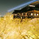 清水寺の桜5