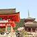 清水寺の桜9