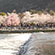 渡月橋・嵐山公園の桜4