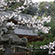 今宮神社の桜2