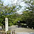 円山公園の写真