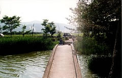 広沢の池付近の写真