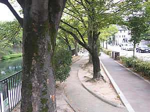 Path to Roku-sho-ji Temples