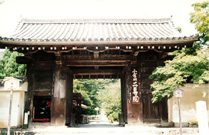 Nison-in