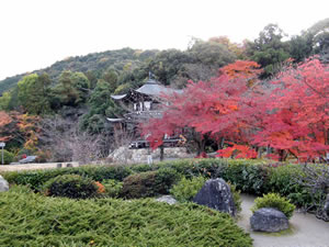 勧修寺の庭園の写真