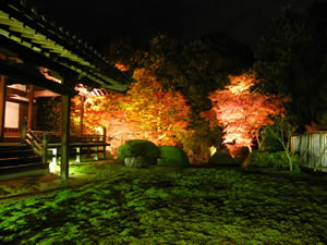 随心院の庭園の写真