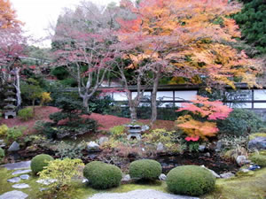 泉涌寺の庭園の写真