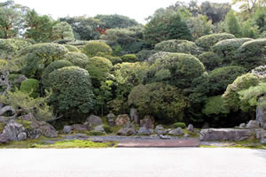 金地院の庭園の写真