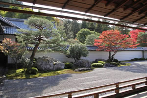 南禅寺の庭園の写真