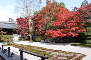 天授庵の庭園の写真