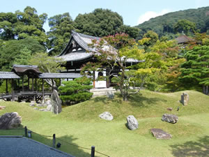 高台寺の庭園の写真