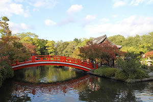 神泉苑の庭園の写真