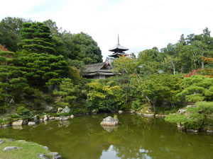 仁和寺の庭園の写真
