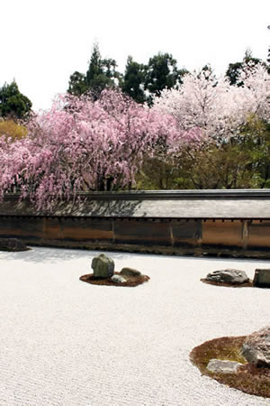 龍安寺の庭園の写真