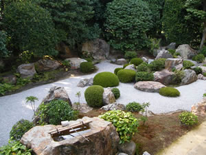 退蔵院の庭園の写真