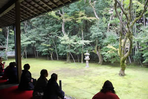 高桐院の庭園の写真