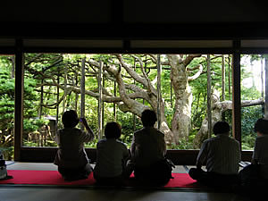 宝泉院の庭園の写真