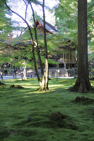 三千院の庭園の写真