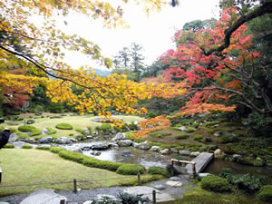 無鄰菴の庭園の写真