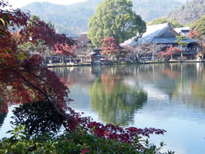 大覚寺の庭園の写真