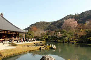 天龍寺の庭園の写真