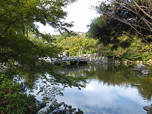 円山公園の写真2