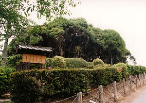 仲野親王陵古墳の写真