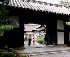 大覚寺の写真