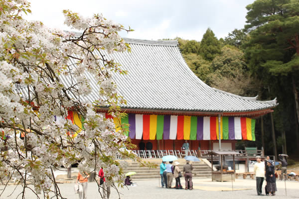 醍醐寺