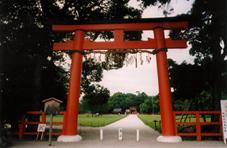 上賀茂神社の写真