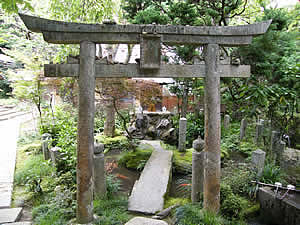岩屋寺の写真2