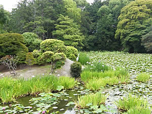 氷室の池の写真