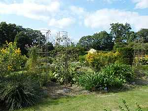 宿根草・有用植物園の写真