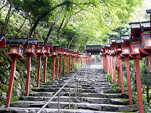 赤い灯篭の参道の写真