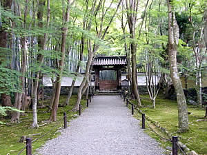 地蔵院(竹の寺)の写真