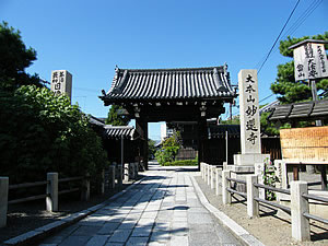 妙蓮寺の写真