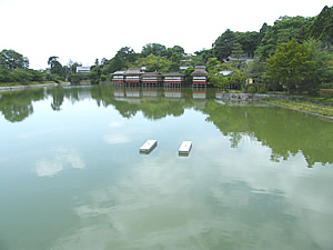 八条ケ池の写真