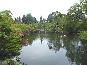 放生池の写真