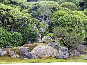 枯山水庭園の写真2