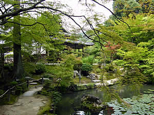 池泉回遊式の南庭の写真