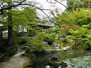 池泉回遊式の南庭の写真