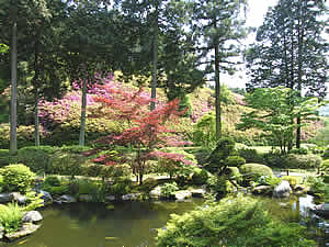 池泉回遊式庭園の写真